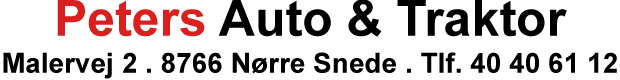 logo petersauto2